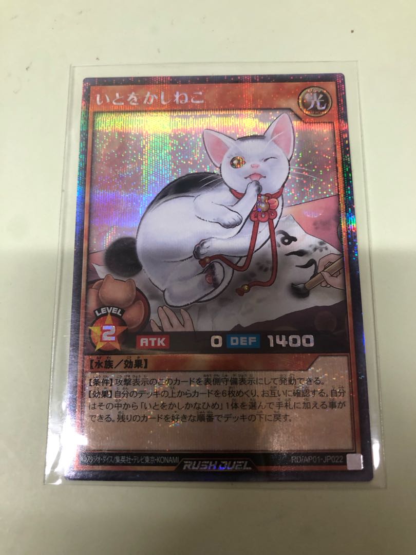 Cousin Cats SE RD/AP01-JP022