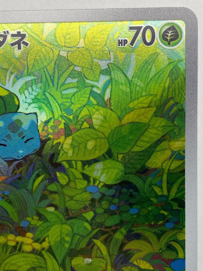 (2) Bulbasaur AR 166/165 1枚