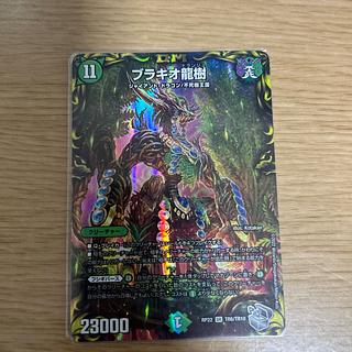 ブラキオ龍樹」の激安通販 | magi