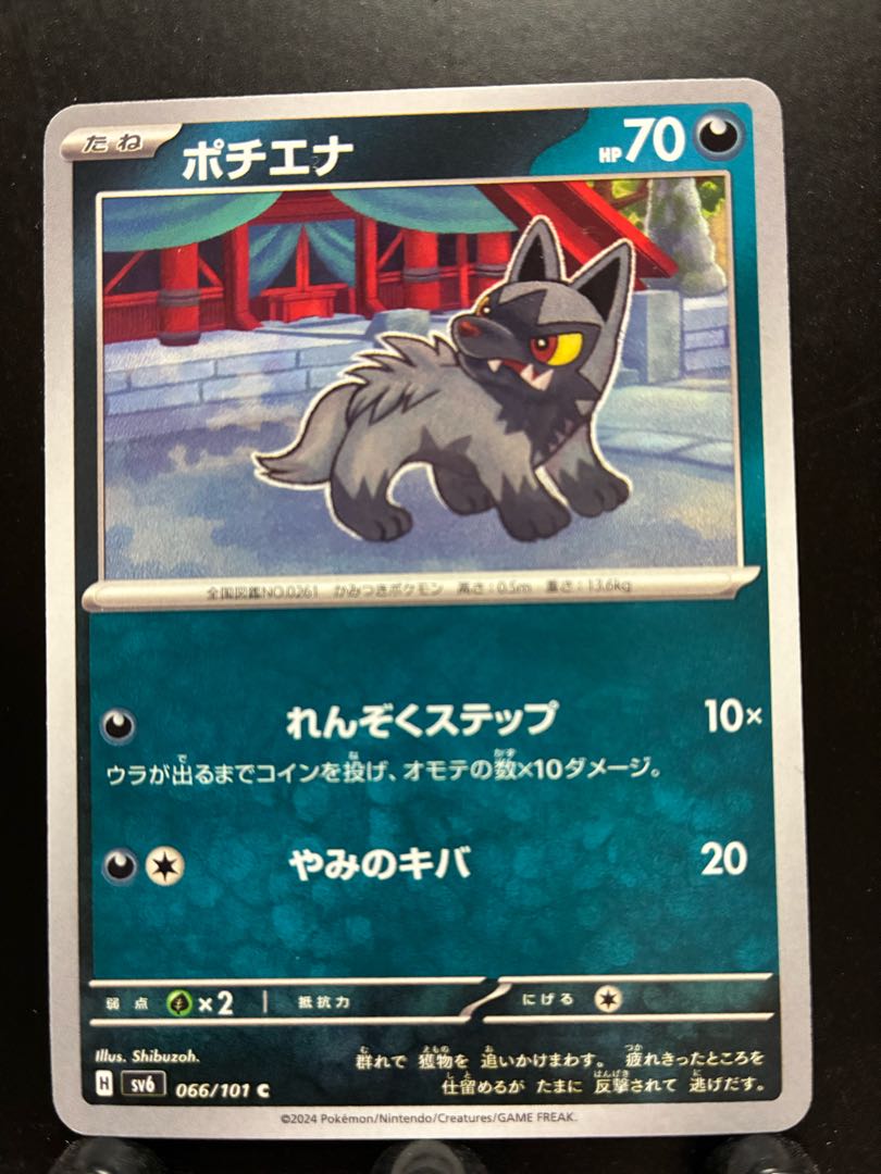 【楽々堂】ポケカ ポチエナ