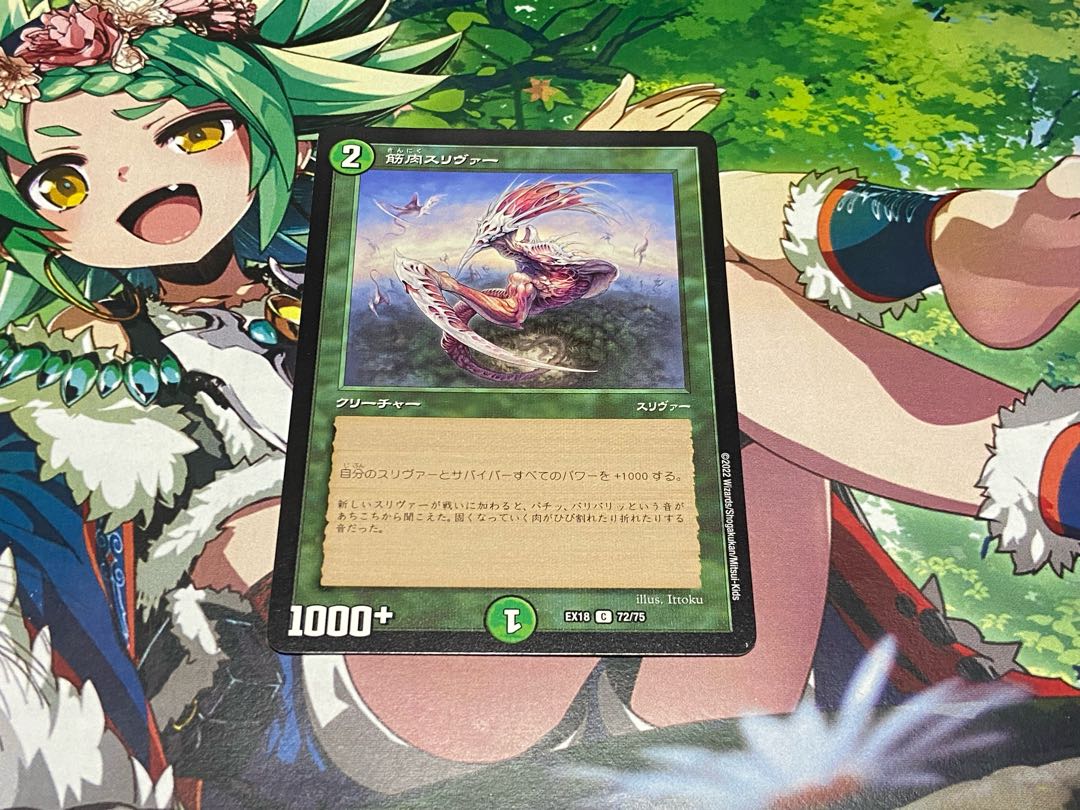 D-105 筋肉スリヴァー C 72/75 1枚