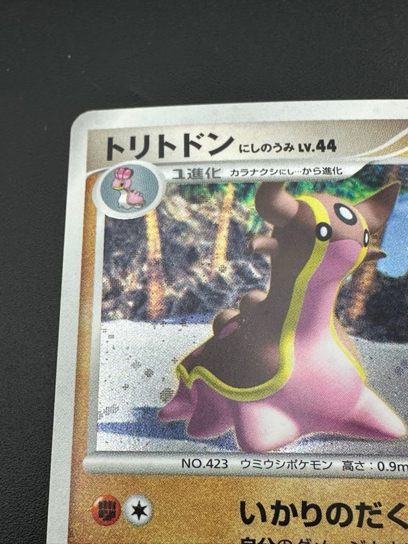 Gastrodon Nishinoumi (R) {Fighting}〈DPBP#487〉[DP3].