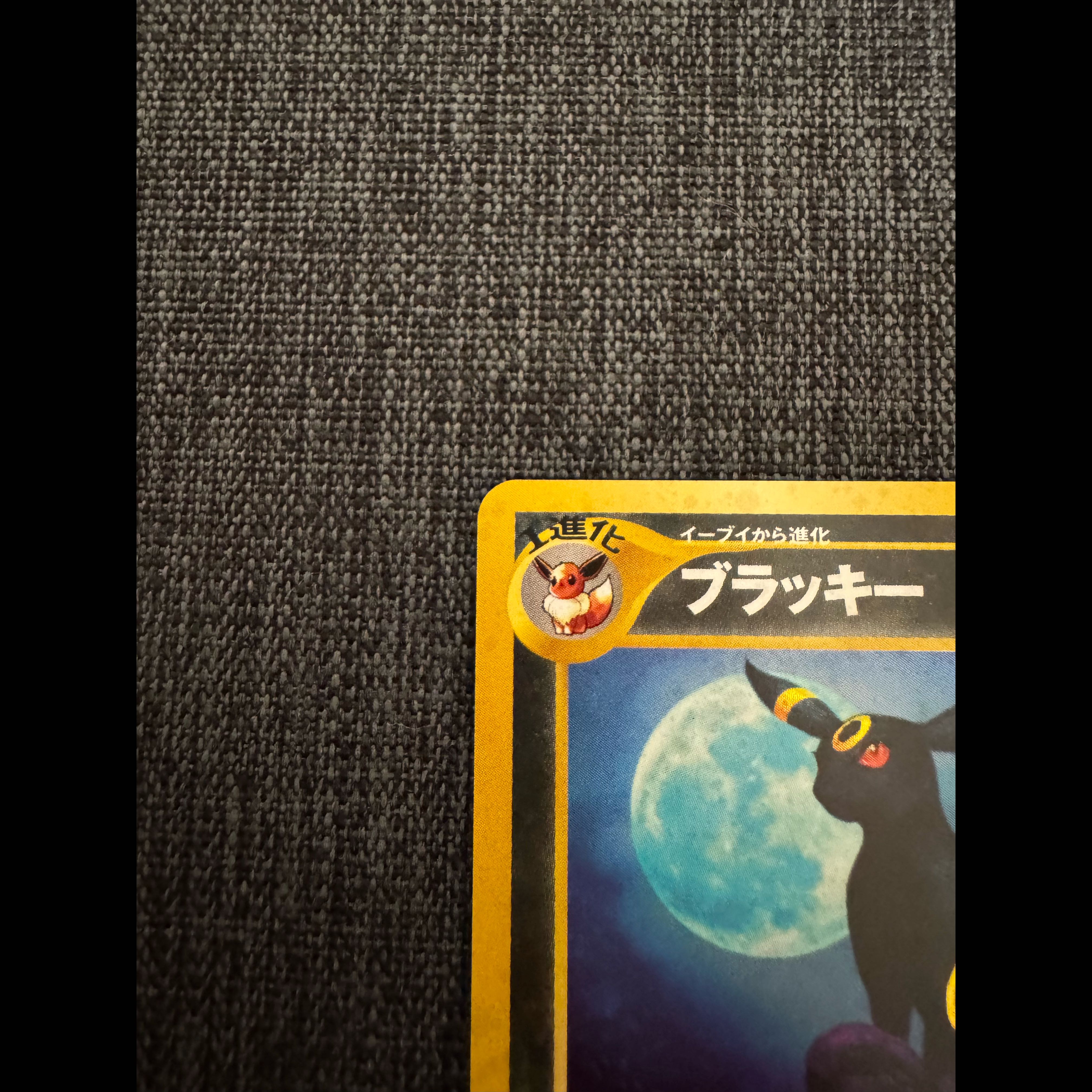 ポケモンカード 旧裏 ブラッキー（キラ） 遺跡をこえて  1枚