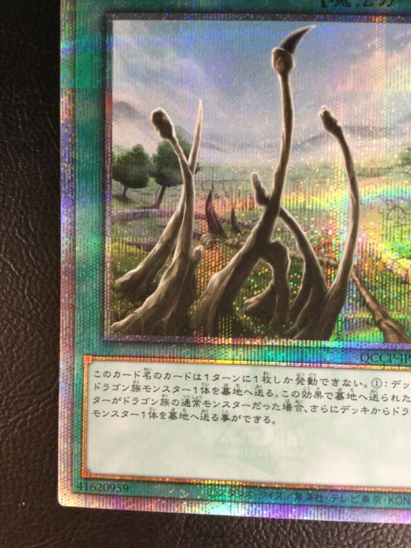 (iii) Dragon Shrine QCSE, 25th Sikh QCCP-JP194