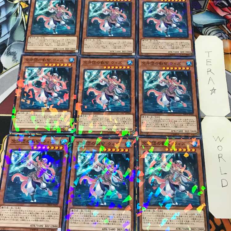 Wiz, Sage Fur Hire DBDS 1 Normal Parallel Effect 9-card set Tera 9枚