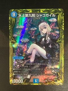 シャコガイル b」の激安通販 | magi シャコガイル b」の激安通販 | magi