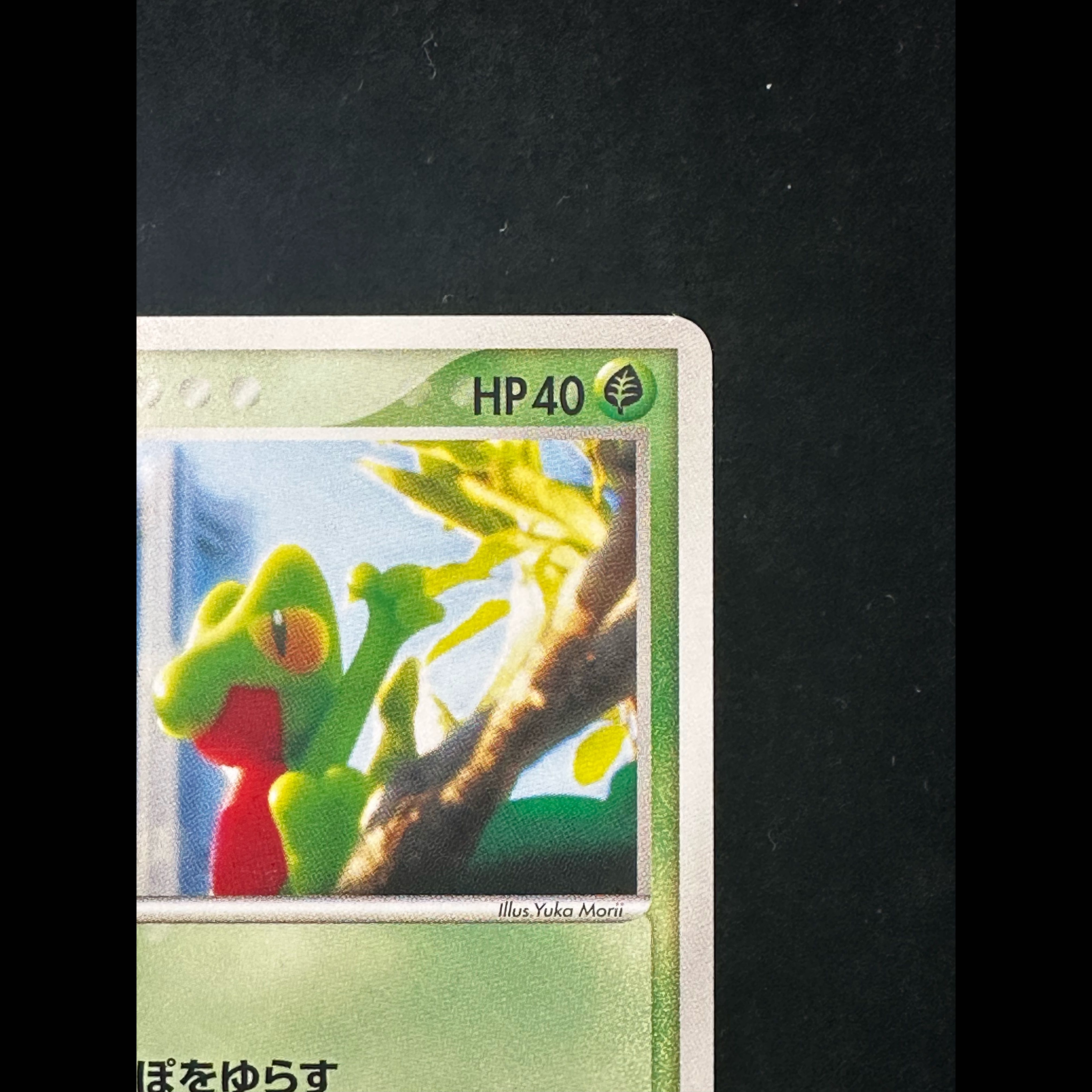 キモリ ポケモンセンターヨコハマオープン記念 PROMO 037/PCG-P 1枚