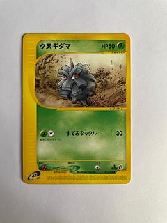 クヌギダマ　eカード 1枚