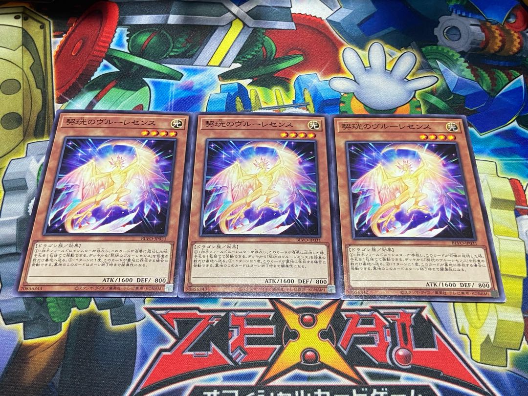 Y-3978 Kikou no Vroulesense Normal JP031 3枚