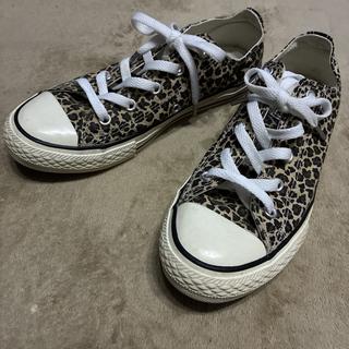 CONVERSE Sneakers, Leopard Print, Low-Top, 21.5 cm 22cm