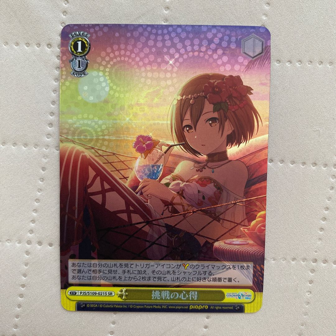 SR 挑戦の心得* 1枚