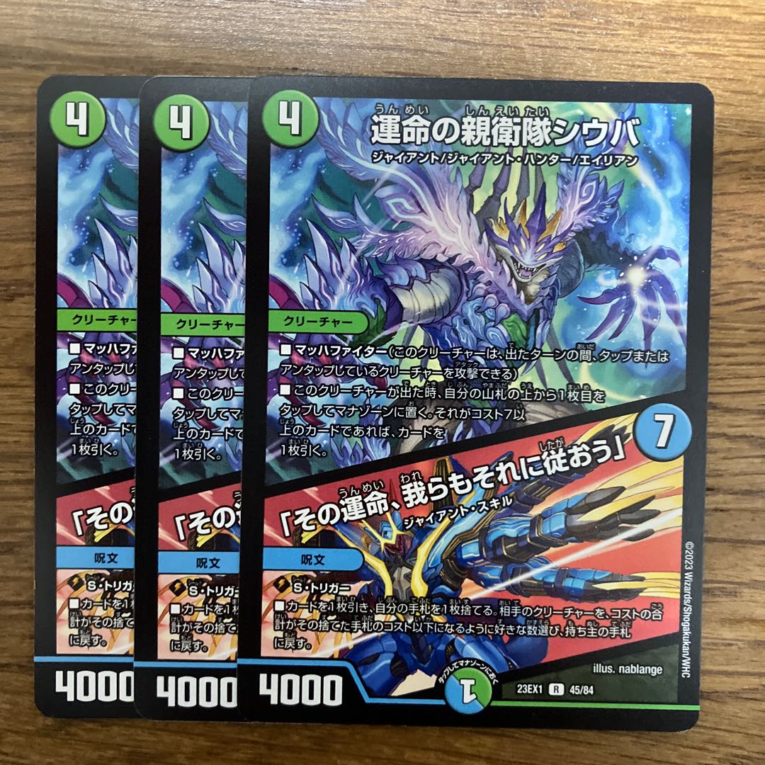 Shiba, SS of Fate｜"That fate, we shall follow it" R 45/84 3枚