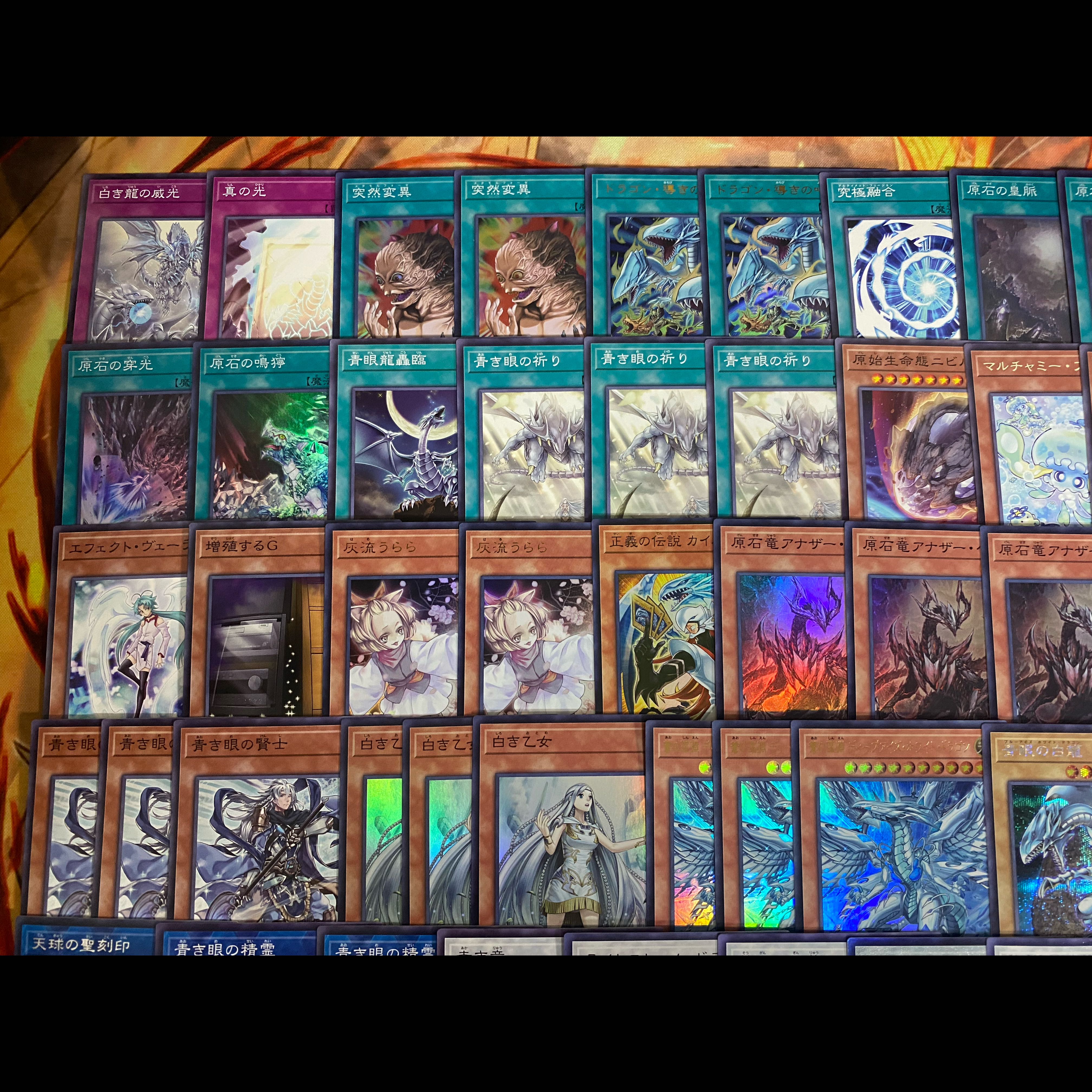 【24時間以内発送】遊戯王　原石　青眼　ブルーアイズ　本格構築 デッキ　大会構築 1枚