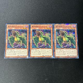 3036 捕食植物プテロペンテス ノーマル JP003