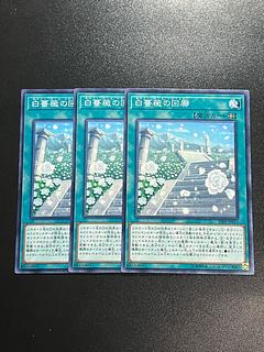 Yu-Gi-Oh Studio 3 copies White Rose Cloister Normal JP011