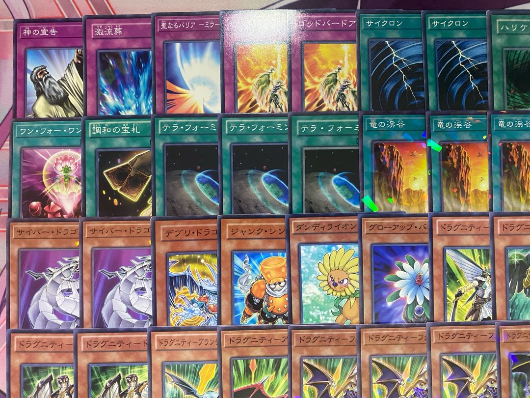1103 Environmental Gateball] Yu-Gi-Oh Dragunity Full Scale Constructed Deck 1枚