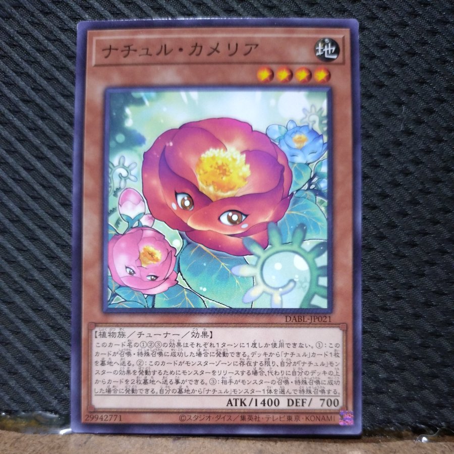 【ぽぽたん】遊戯王  7176  ナチュル・カメリア ノーマル JP021 1枚