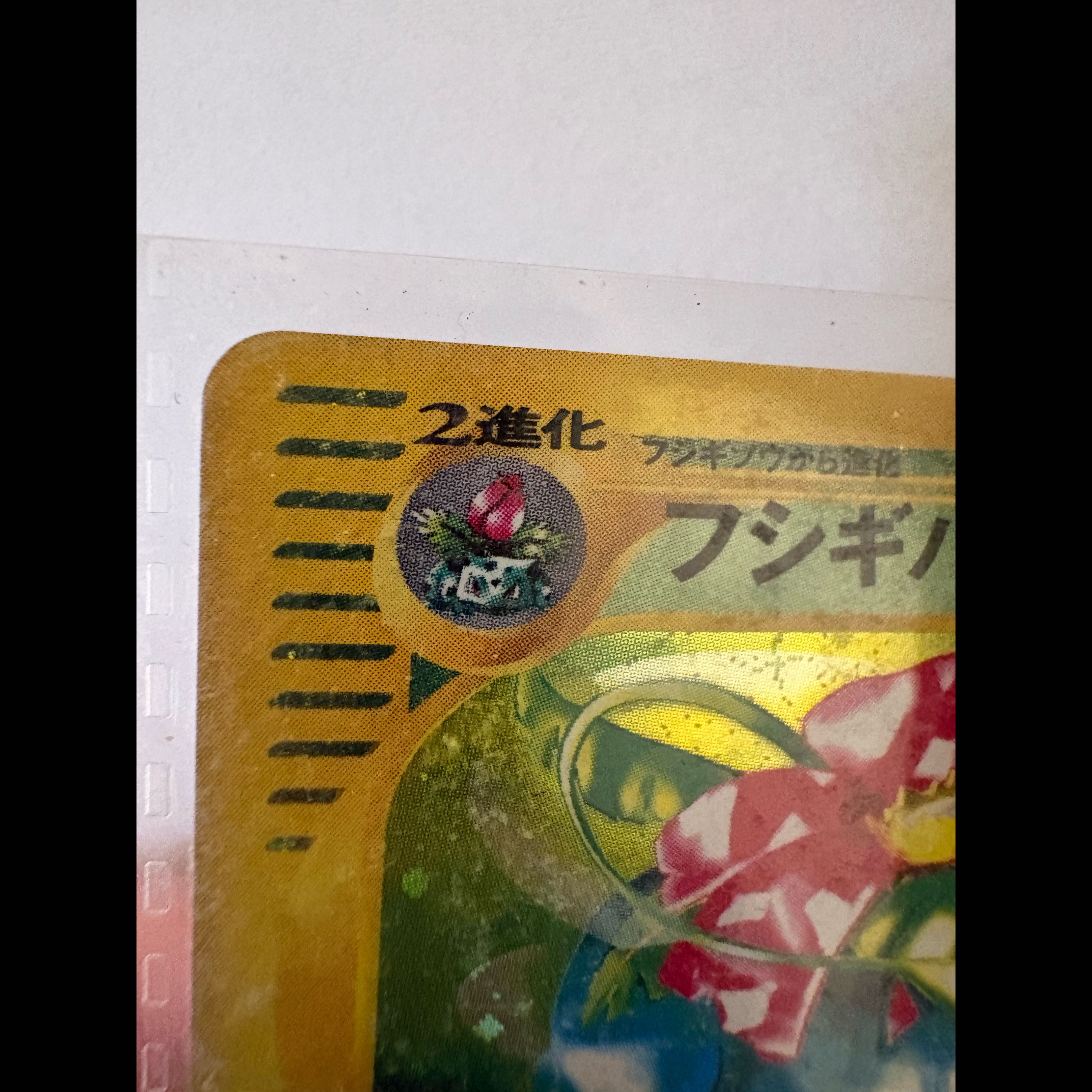 Pokémon Card Triple Get Campaign: First-Generation Starter Pokémon 1枚