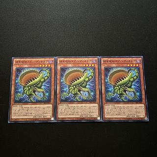 3028 Predaplant Spinodionaea Normal JP004