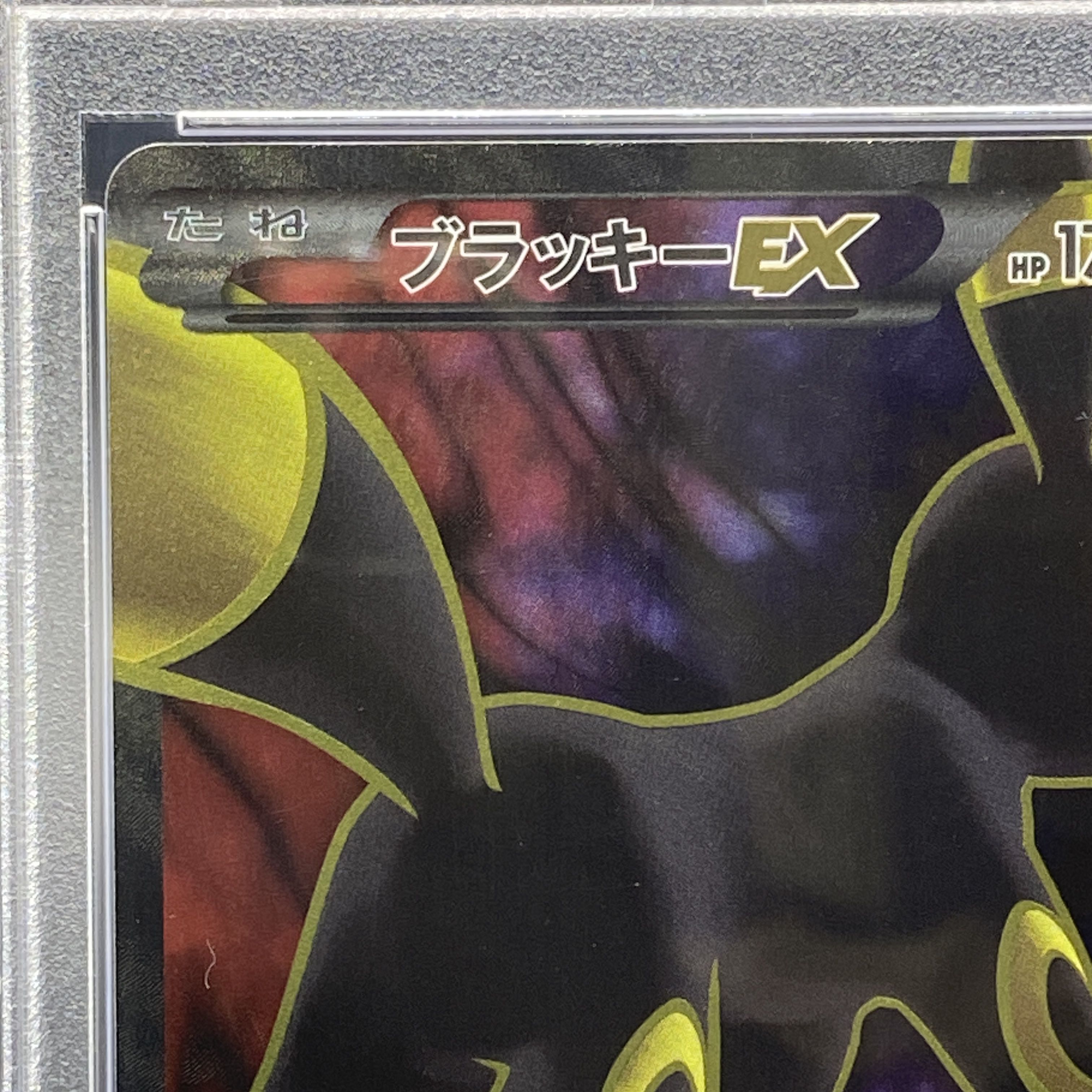 【PSA10】ブラッキーEX SR 082/078