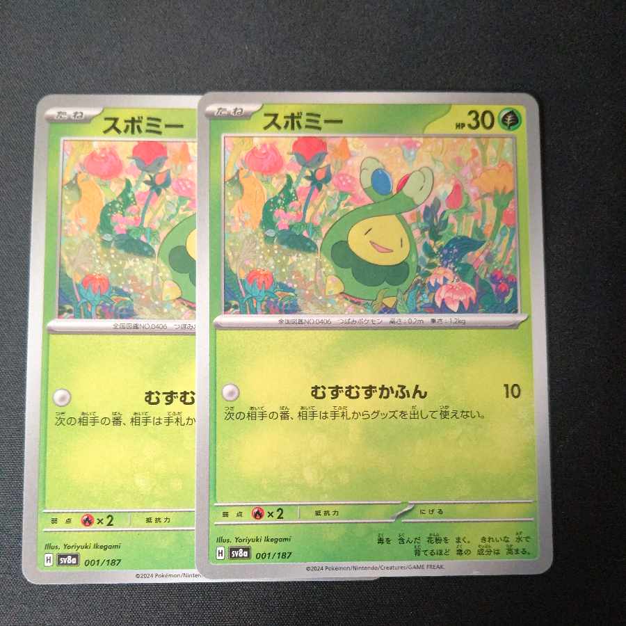 Budew Set of 2