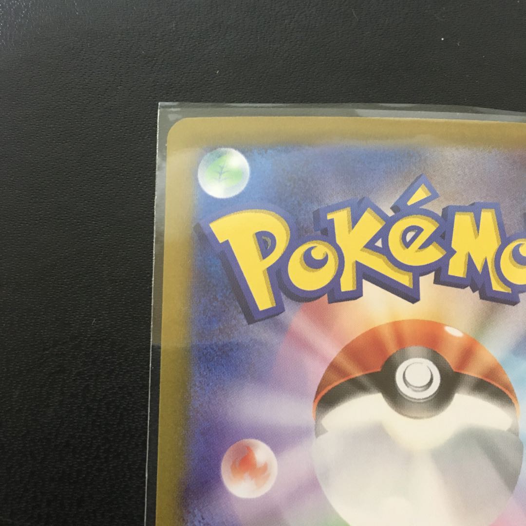 カメックス　SAR 1枚