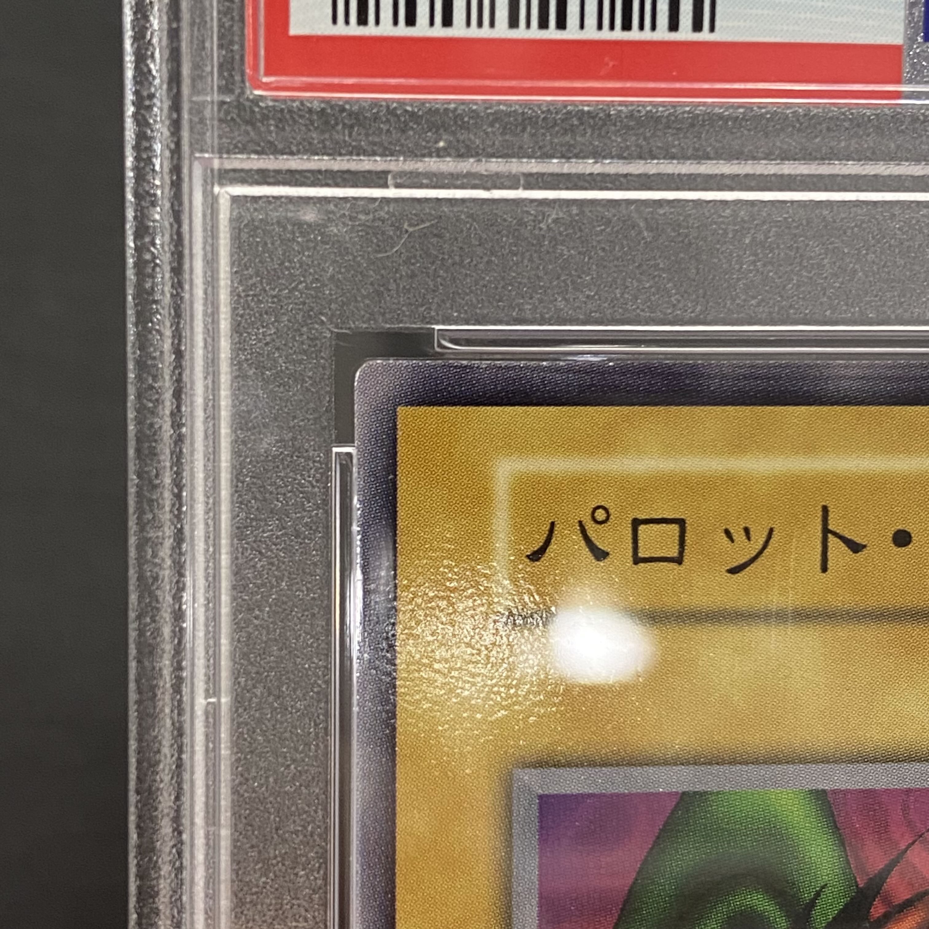 【PSA10】パロットドラゴン 初期 ノーマル