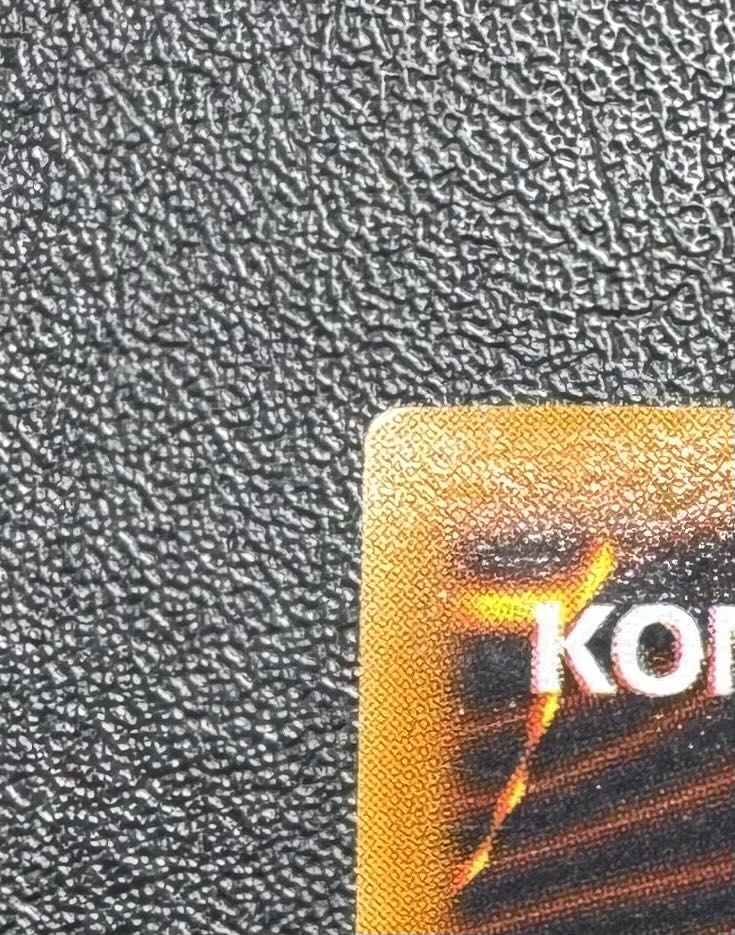 Red Eyes Black Metal Dragon / Machine / Yu-Gi-Oh / Early Secret