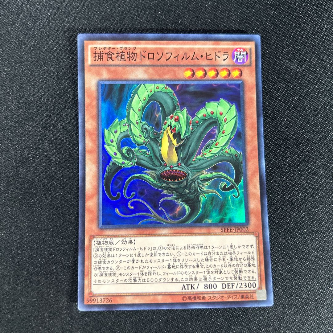 2111 Predaplant Drosophyllum Hydra Super Rare JP002