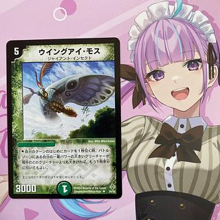 ウイングアイ・モス