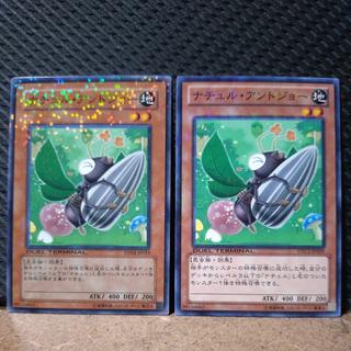 【ぽぽたん】遊戯王  3798  ナチュル・アントジョー ノーパラ  ２枚 2枚