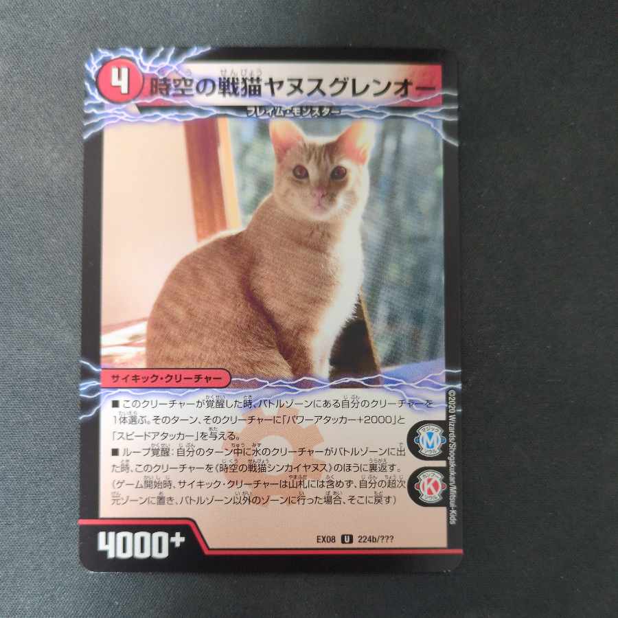 Space-Time War Cat Shinkaianus｜Space-Time War Cat Janus Glen-O U 224a/???? ｜U 224b/????? 1枚