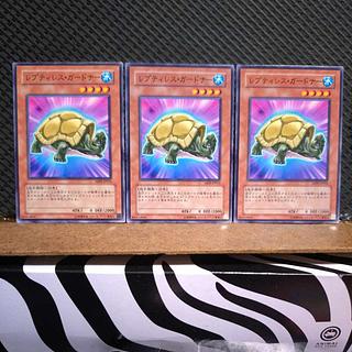 【ぽぽたん】遊戯王  3196  レプティレス・ガードナー ノーマル  ３枚