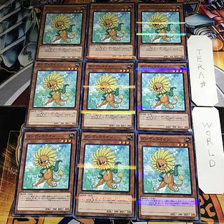 Royal Decree 1 Normal Parallel 9-card set Tera