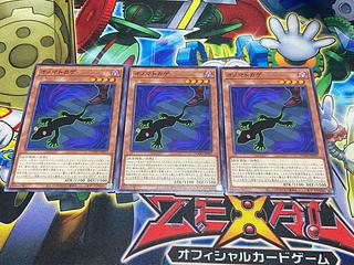 Y-3285 オノマトカゲ ノーマル DOOD-JP007