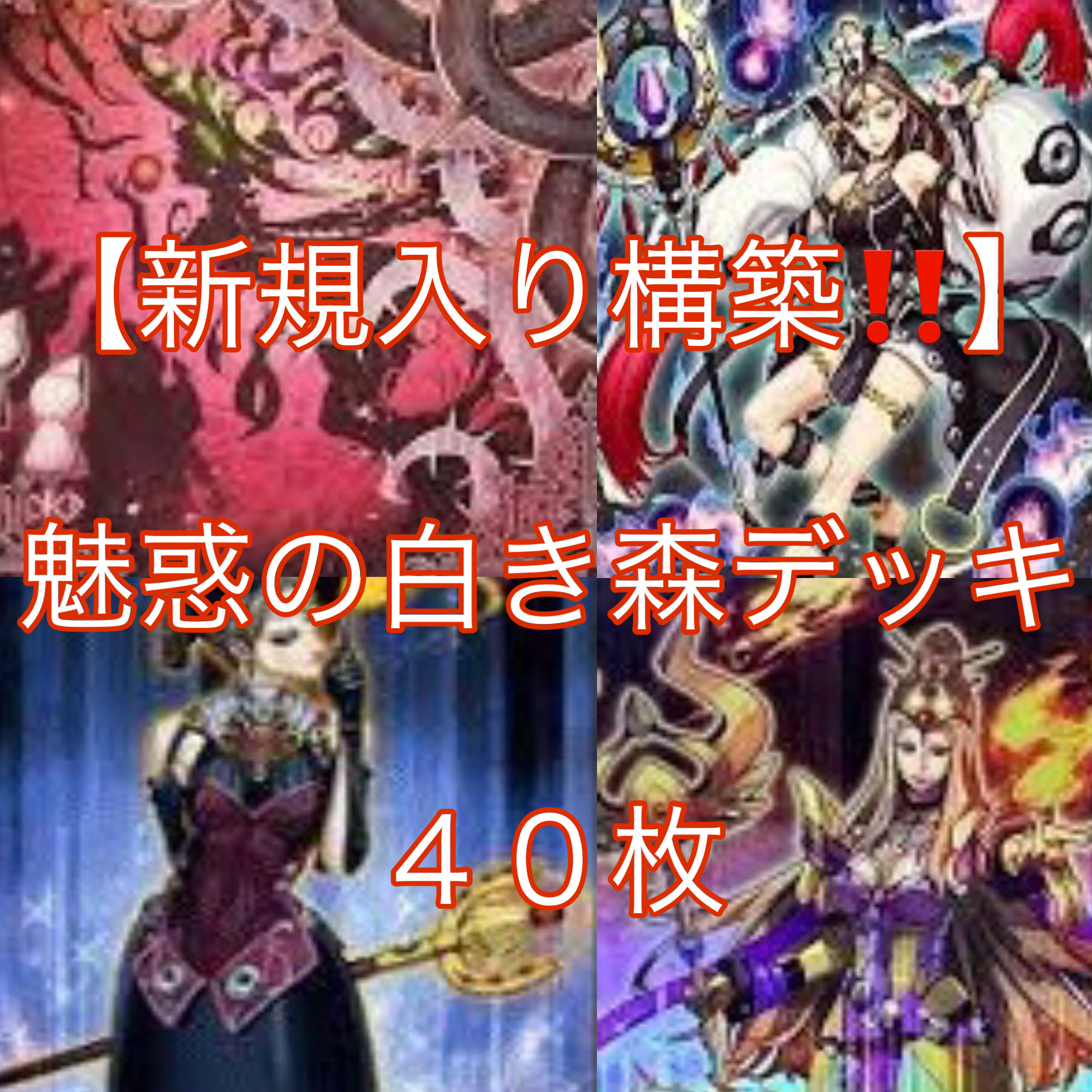 遊戯王【新規入り構築！！】魅惑の白き森デッキ４０枚