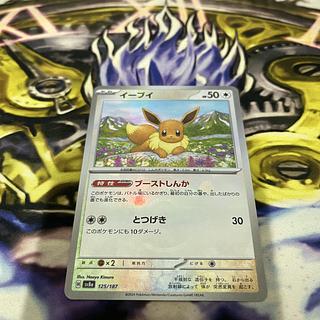 Eevee (Master Ball pattern/mirror spec.) 125/187 1枚