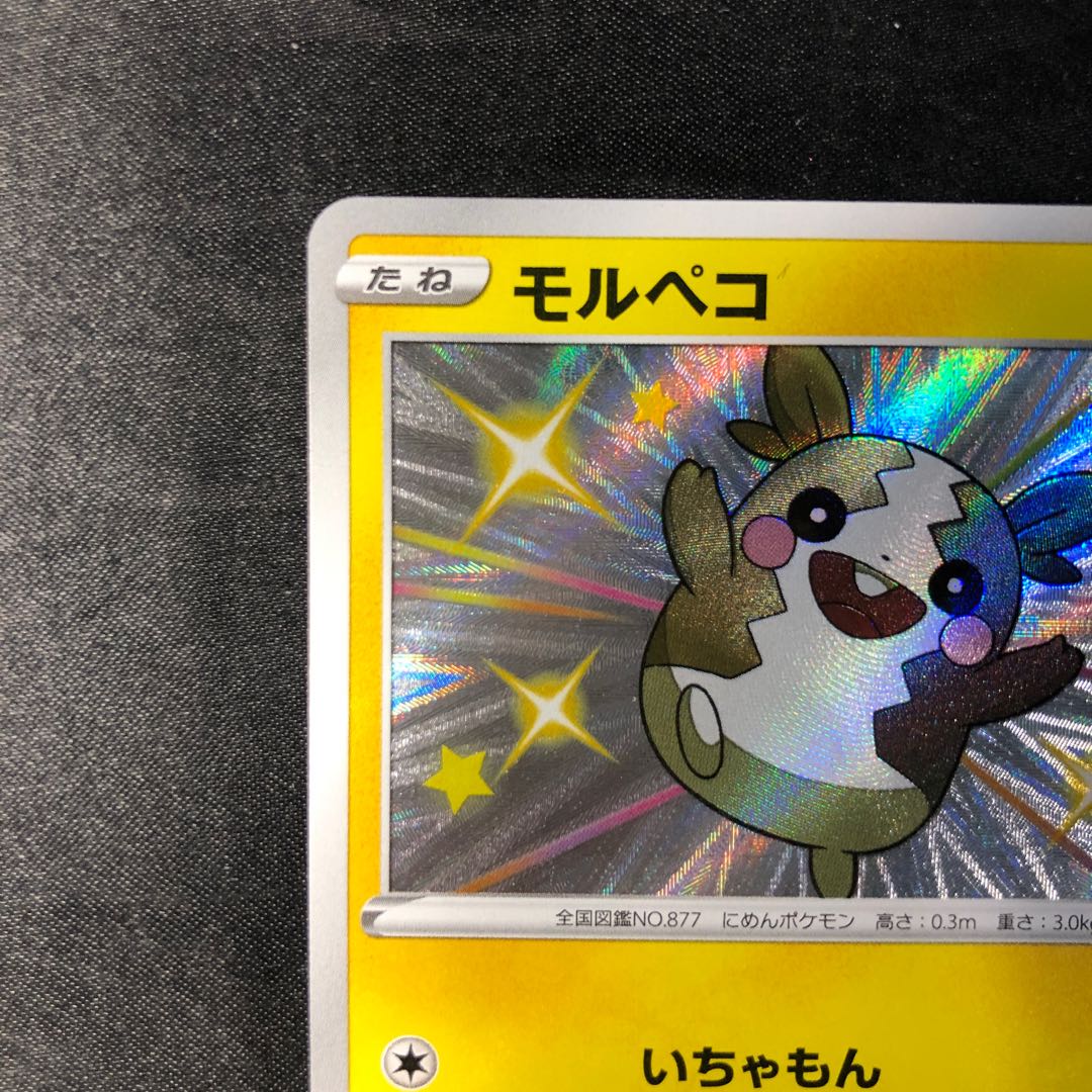 モルペコ S 243/190 1枚