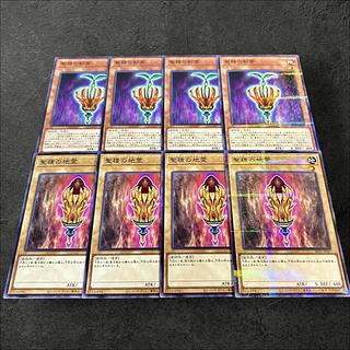 a801【遊戯王】聖種の影芽　聖種の地霊　各4枚8枚セット