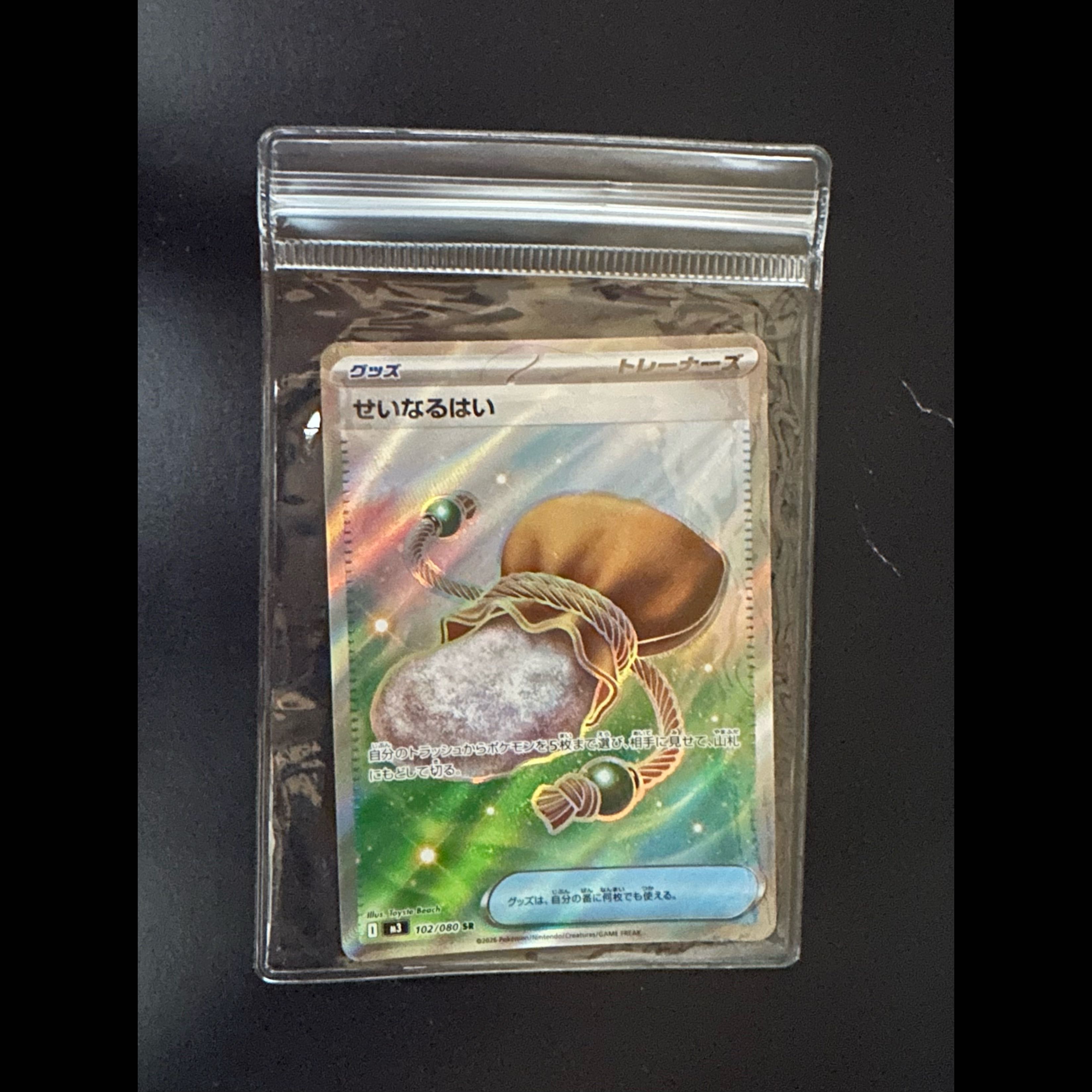 Mega Gardevoir, SalazzleeX, Dewgong, Togedemaru, and Tainaru Yo  6枚