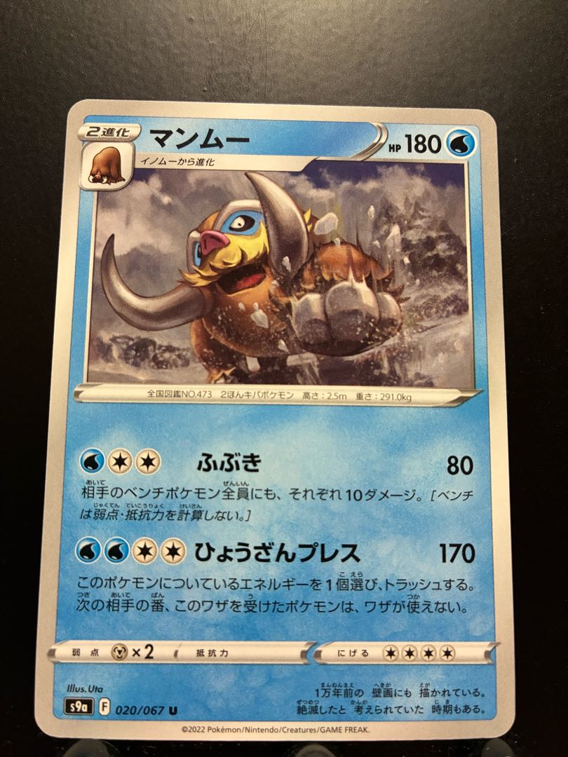 Rakurakudo] Pocketka Mamoswine