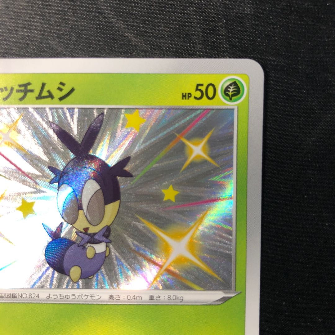 サッチムシ S 206/190 1枚