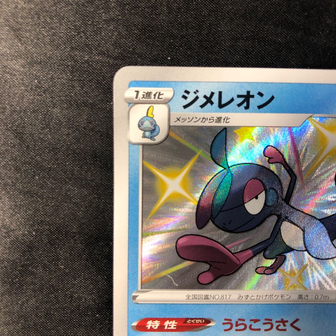 ジメレオン S 225/190 1枚