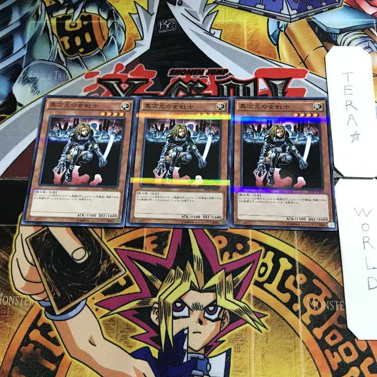 D.D. Warrior Lady 20AP 1 Normal Parallel Set of 3 Tera.