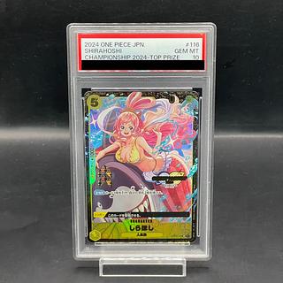 しらほし チャンピオンシップ」の激安通販 | magi しらほし チャンピオンシップ」の激安通販 | magi