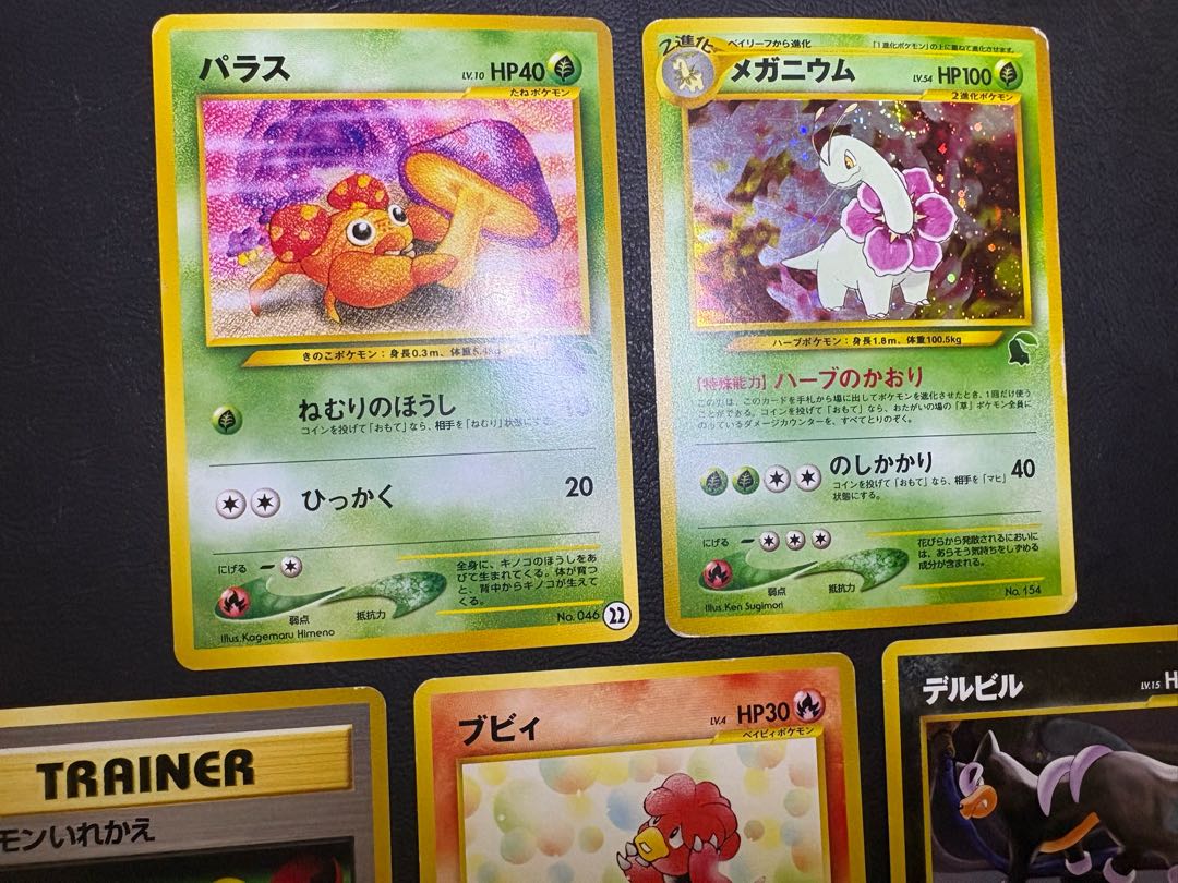 neo intro pack set (Totodile mark & Chikorita mark) Pokemon old back 11枚