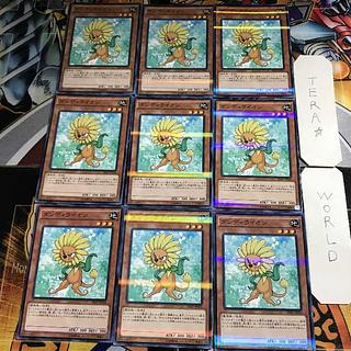 Royal Decree 1 Normal Parallel 9-card set Tera