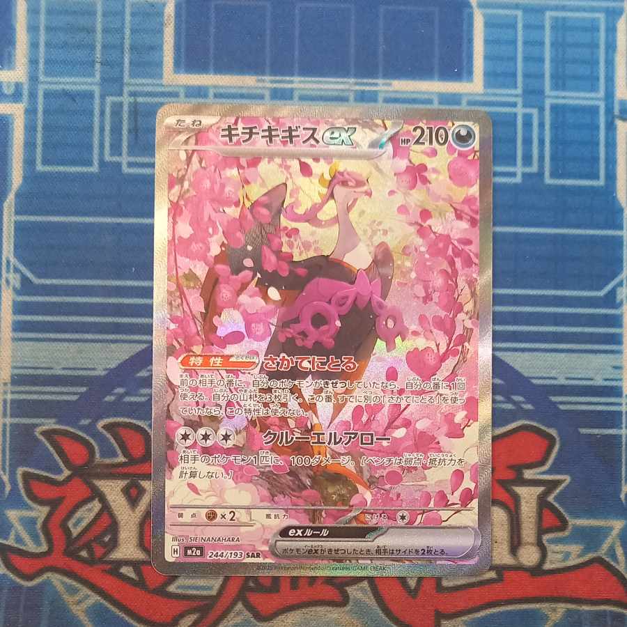 Kicchi Kigis ex SAR 244/193 1枚