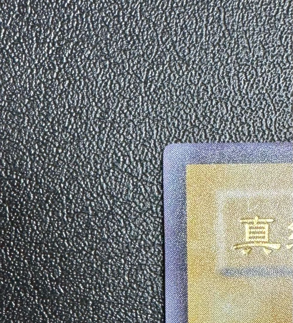 真紅眼の黒竜/レッドアイズブラックドラゴン/ ドラゴン族/遊戯王カード/初期絵  1枚