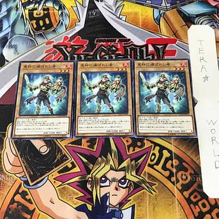 Chosen by the World Chalice COTD 11 Normal, set of 3 Tera.